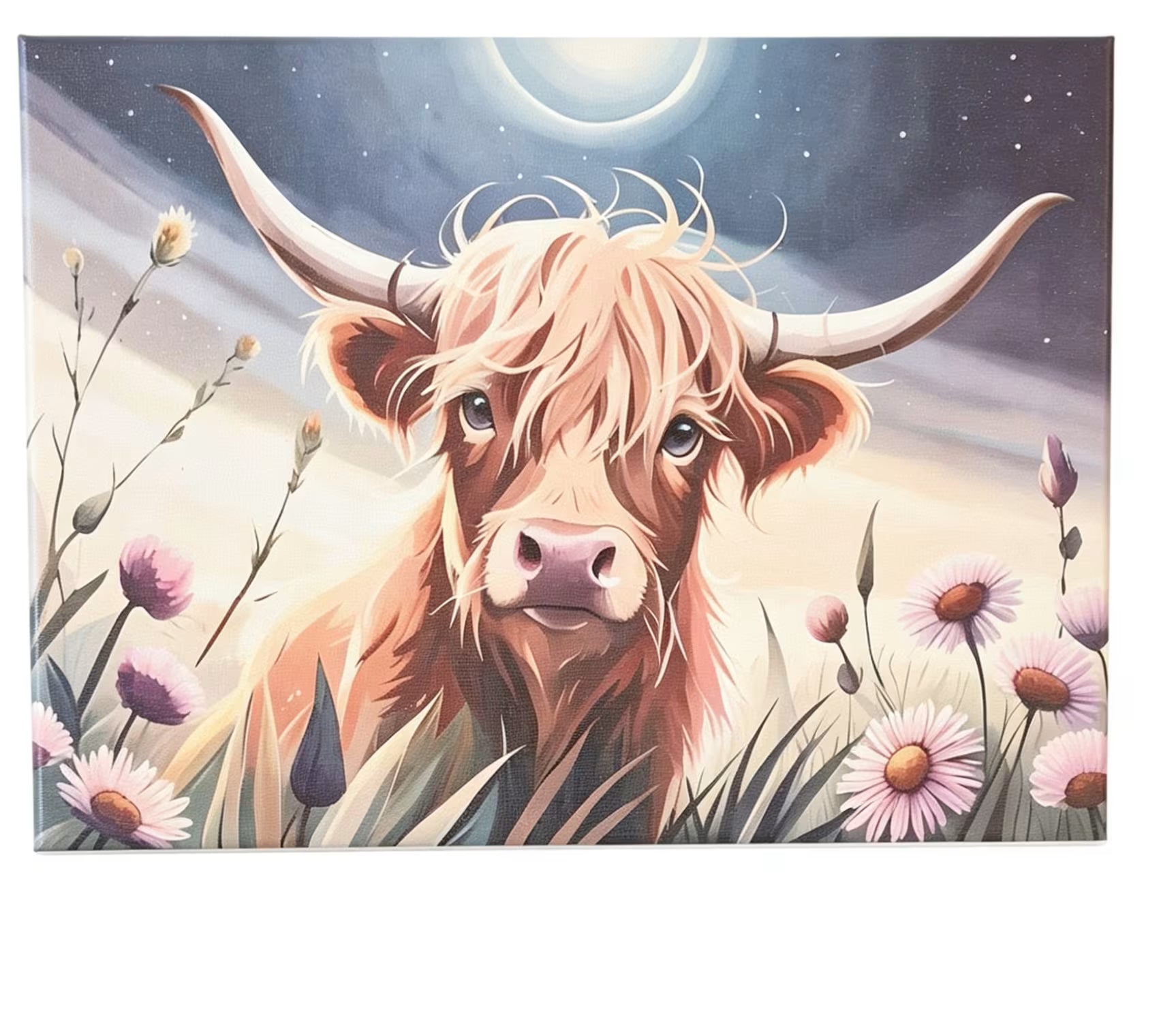 Highland Cow Canvas Set 3 piece